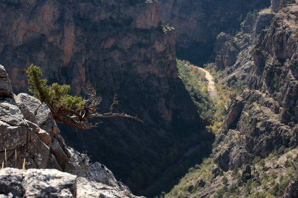 Sziklás és mély kanyon - Fotó, kép