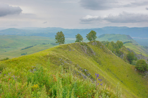 The hills and roads in the Altai - Foto, Bild