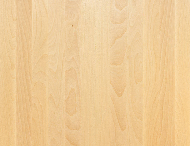 A fragment of a wooden panel hardwood.  - 写真・画像