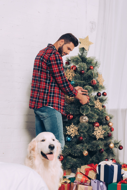 man decorating christmas tree while cute golden retriever sitting near at home - Photo, Image