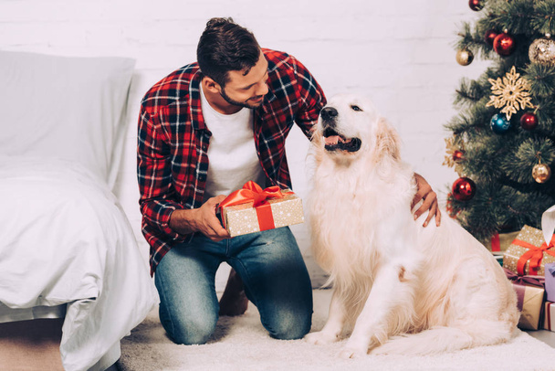 Selektywny fokus uśmiechający się młody człowiek w domu trzymając pudełko na prezent Boże Narodzenie w pobliżu ładny złoty pies myśliwski - Zdjęcie, obraz