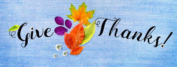 Horizontal cover for Happy Thanksgiving site, collage of handwritten font and carved autumn leaves, cones, flowers and petals, flat top view, on blue background. - Photo, Image