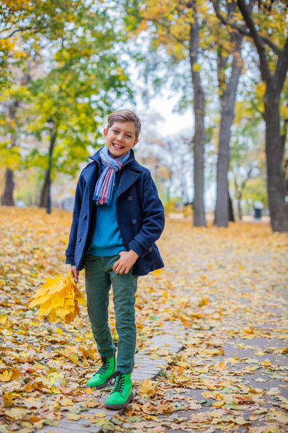 Beautiful child boy in the autumn nature - Foto, immagini