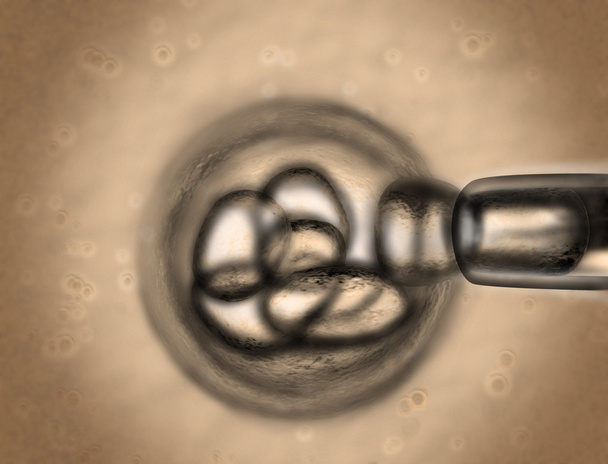 Výzkum kmenových buněk - Fotografie, Obrázek