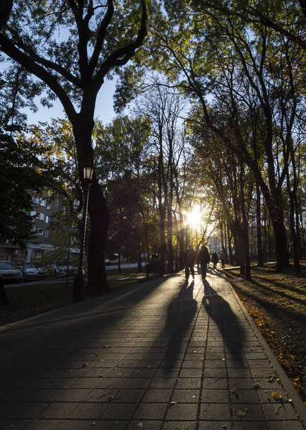Δέντρα με φθινοπωρινά φυλλώματα, σκιά και ένα πεζόδρομο στο Φθινοπωρινό πάρκο μια ηλιόλουστη ημέρα Σταυρούπολης, Ρωσία - Φωτογραφία, εικόνα