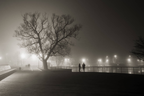Night landscape on the Pekhorka river embankment in cold autumn fog - Fotografie, Obrázek