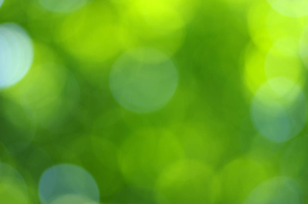 bokeh verde abstrato luz fundo - Foto, Imagem