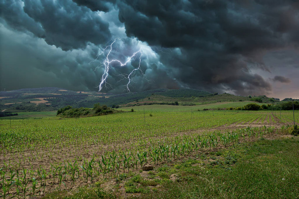 Tempête électrique avec des rayons sur le terrain, Espagne
 - Photo, image