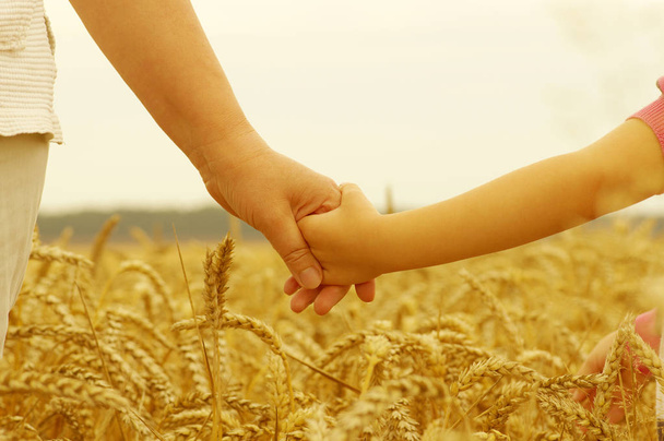 Mãos de mãe e filha segurando um ao outro no campo de trigo
 - Foto, Imagem