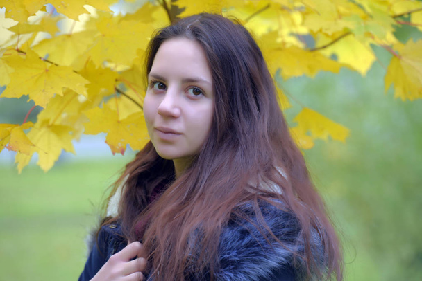 long-haired brunette teenager with a blue jacket on an autumn background - Foto, immagini