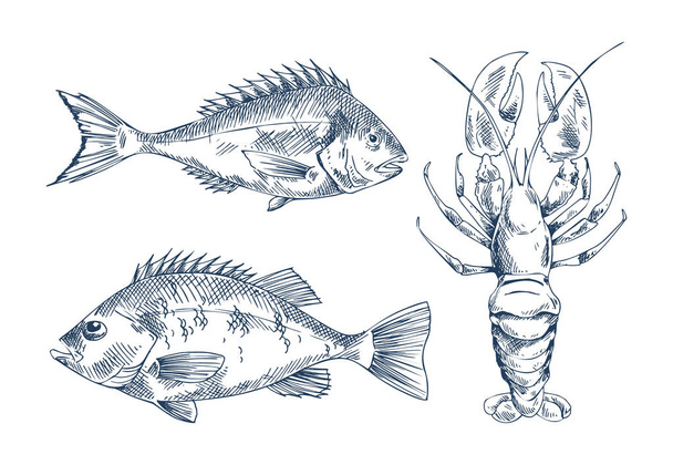 Seafood and fish vector engraving illustration - Vektor, obrázek