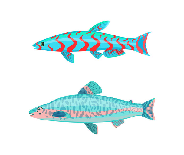 Jack Dempsey Fish Fauna Set Vector Illustration - Wektor, obraz
