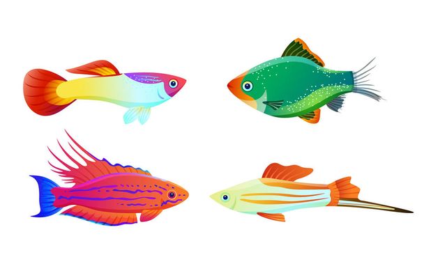 Silhueta de peixes de aquário isolada em ícones brancos
 - Vetor, Imagem