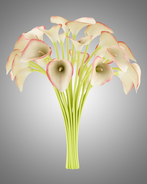boeket van calla lelies geïsoleerd op grijze achtergrond - Foto, afbeelding