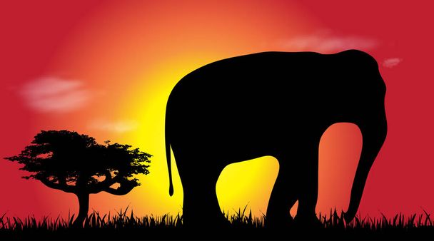 Silhouette vettoriale di elefante in savana
. - Vettoriali, immagini