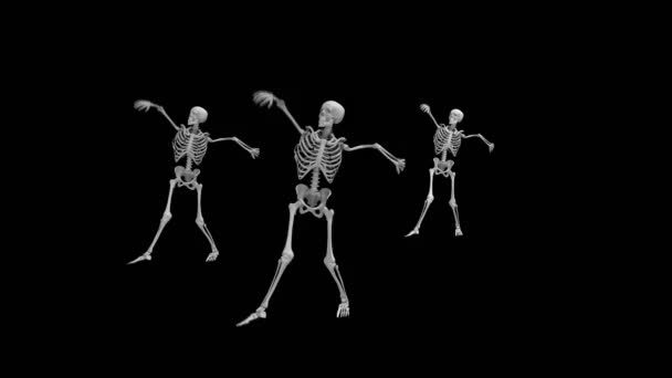 Τρεις χορεύοντας σκελετοί σε ένα απομονωμένο μαύρο φόντο, αδιάλειπτη βρόχο κινούμενα σχέδια - Πλάνα, βίντεο