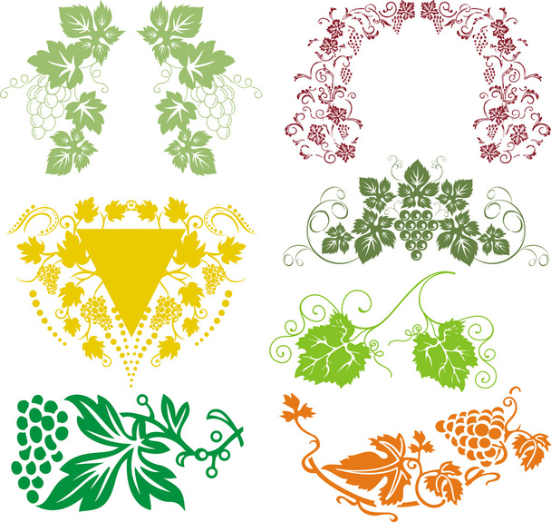 Grapes collection - Vector, Image