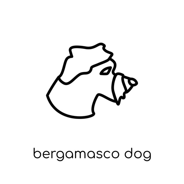 Ícone de cão Bergamasco. Moderno moderno vetor linear plano Bergamasco cão ícone no fundo branco da coleção de cães de linha fina, esboço editável curso vetor ilustração
 - Vetor, Imagem