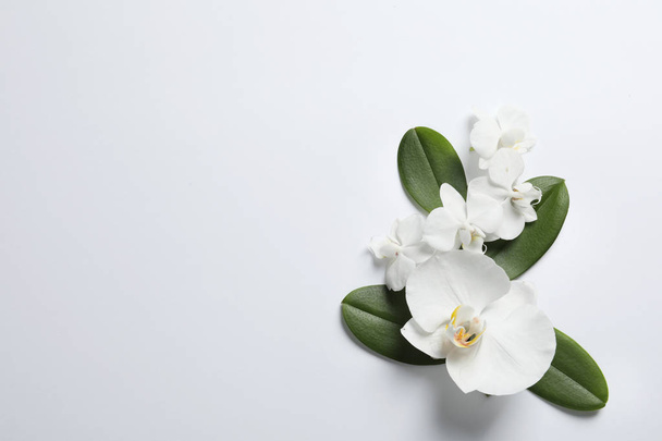 Beautiful orchid flowers with leaves on white background, top view. Tropical plant - Valokuva, kuva