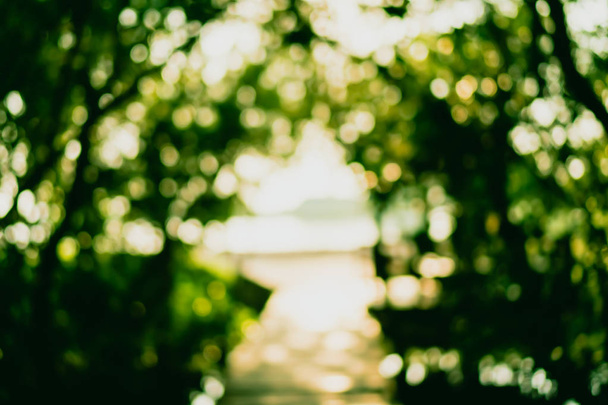 Blur nature green bokeh with small bridge in mangrove forest background. - Foto, afbeelding