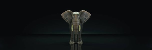riesiger Elefant im dunklen Hintergrund. 3D-Darstellung - Foto, Bild