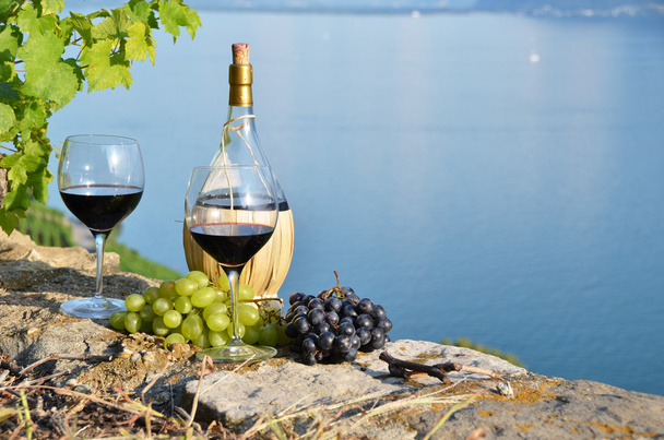 Вино и виноград - Фото, изображение