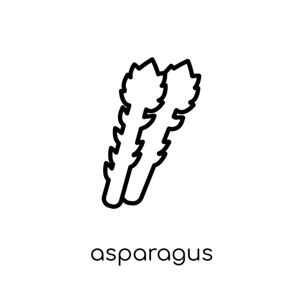 asperges pictogram. Trendy moderne vlakke lineaire vector asperges icoon op een witte achtergrond van dunne lijn Fruit en groenten collectie, overzicht vectorillustratie - Vector, afbeelding