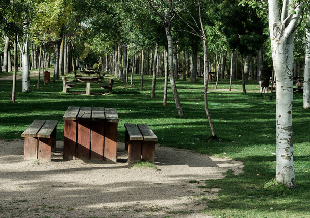 park with trees and benches along riverbank in autumn - Fotografie, Obrázek
