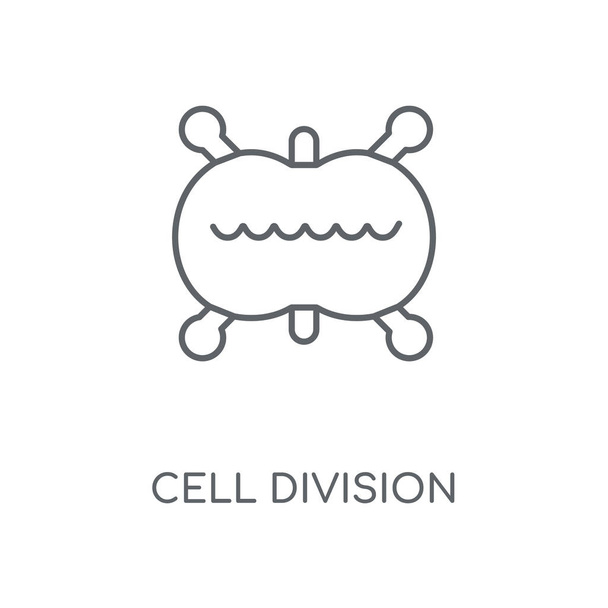 Icono lineal de división celular. Diseño de símbolo de carrera de concepto de división celular. Elementos gráficos delgados ilustración vectorial, patrón de contorno sobre un fondo blanco, eps 10
. - Vector, imagen