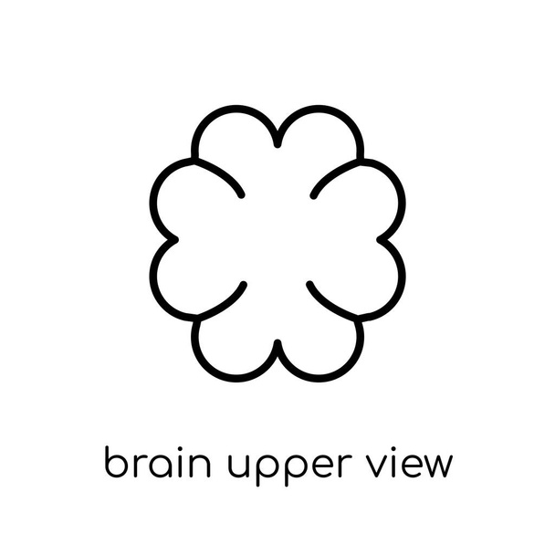 Beyin üst görünüm simgesi. Modaya uygun modern düz doğrusal vektör beyin üst görünüm simgesi ince çizgi insan vücut parçaları koleksiyonu, düzenlenebilir anahattı kontur vektör çizim üzerinden beyaz arka plan üzerinde - Vektör, Görsel