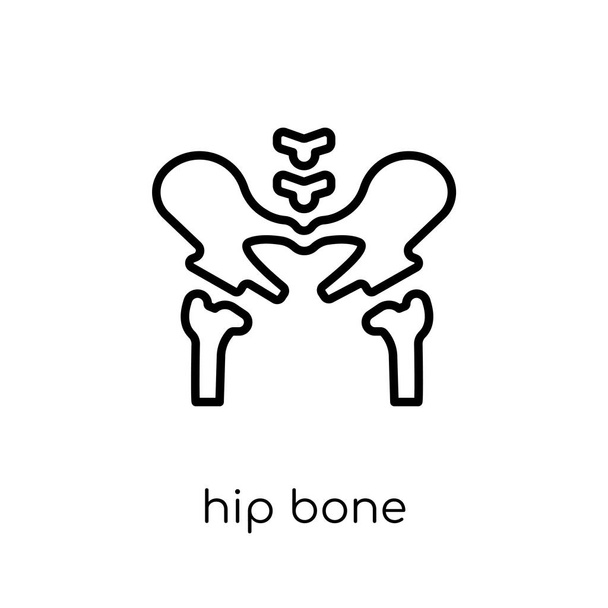 股関節の骨のアイコン。人間の体パーツ コレクション、編集可能なアウトライン ストローク ベクター画像の細い線から白い背景のトレンディなモダンなフラット線形ベクトル股関節骨アイコン - ベクター画像