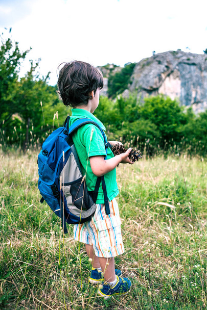Child with a backpack in the forest. The boy walks along the mountain path. Active vacations. Traveling with children. The kid is studying nature. - Fotografie, Obrázek