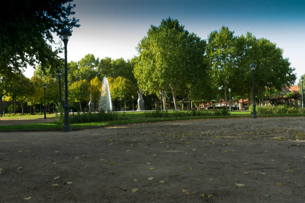 Stadtpark mit viel bunter Vegetation und Wasserfontäne - Foto, Bild