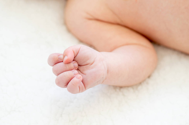 cute newborn baby on the first months of life - Photo, image