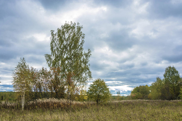 Beautiful autumn landscape on a cloudy day with a cloudy sky, Russia.  - Фото, зображення