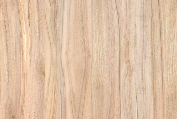 A fragment of a wooden panel hardwood. Walnut. - Photo, image