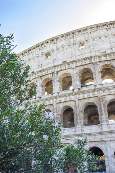 exterior do edifício Coliseu, Roma, Itália
 - Foto, Imagem