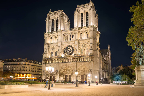 Нотр-Дам де Парі - знаменитий собор з нічного освітлення - Фото, зображення