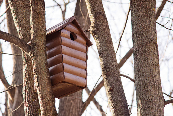 brown wooden house for birds on a tree in the park - Фото, изображение
