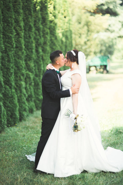Romantic, fairytale, happy newlywed couple hugging and kissing in a park, trees in background - Photo, image