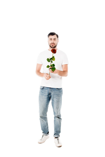 Handsome young adult man holding red rose isolated on white - Foto, Imagem