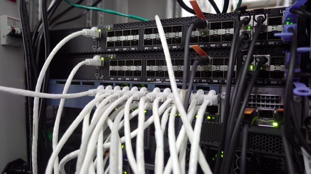 Moderní síťový spínač s kabely. Serverové místnosti. Webové internetové a síťové telekomunikační technologie. RG-45 blikající Led zelené světlo - Záběry, video