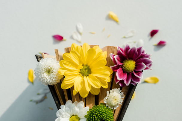 parlak renkli çiçek ve yaprakları ile retro kitabın üstten görünüm  - Fotoğraf, Görsel