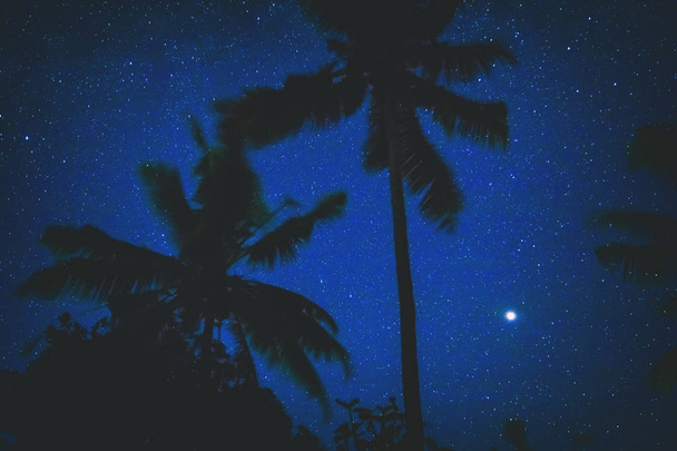 Silhouetten von Kokospalmen mit Milchstraßensternen und Mars auf der Südhalbkugel unten links im Bild. meine astronomische Arbeit. - Foto, Bild