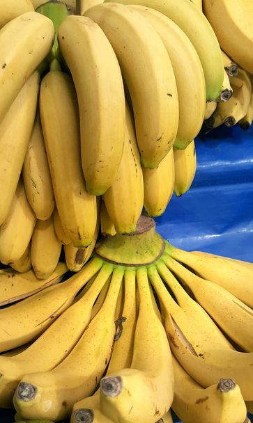 Plátanos amarillos maduros sobre mesa azul
 - Foto, Imagen