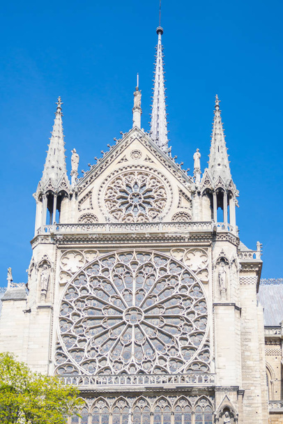     París, catedral de Notre-Dame en la ile de la Cite, detalle
  - Foto, imagen