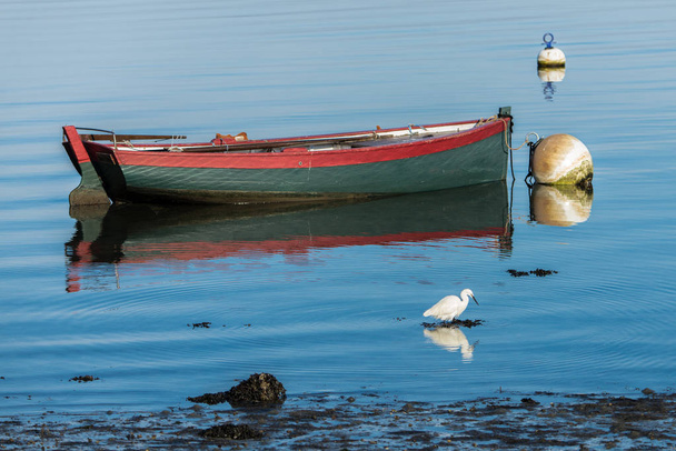     Βάρκα με κουπιά, λευκή βάρκα και σημαντήρα στη Βρετάνη, σε μια υαλώδη θάλασσα, με μια ερωδιός στην ακτή - Φωτογραφία, εικόνα