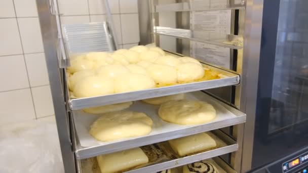 RAW ψωμάκια είναι στο ράφι σε αναμονή της σόμπας - Πλάνα, βίντεο