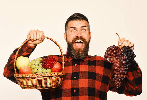 Farming and garden concept. Man with beard holds fruit basket - Фото, зображення