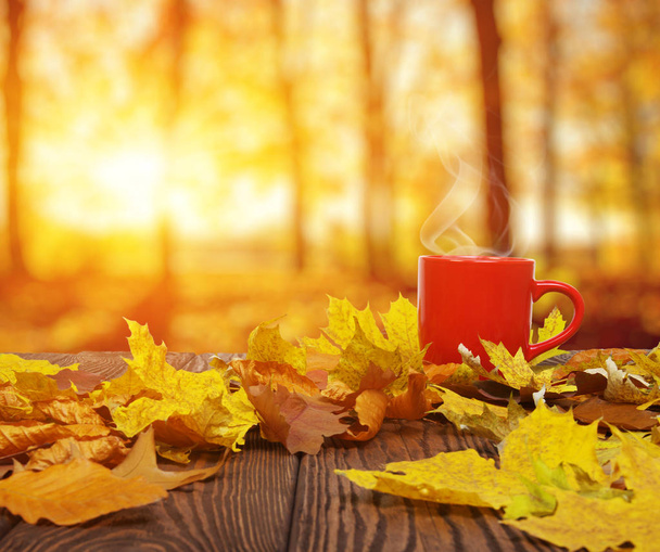 Hojas de otoño y taza de café caliente y humeante. Mesa de madera sobre fondo de luz solar. Concepto de otoño. - Foto, imagen